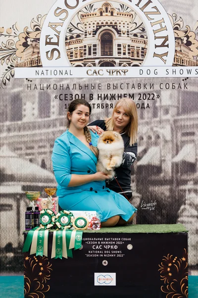 Шпиц - фото 1