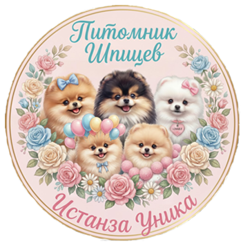 Питомник шпицев